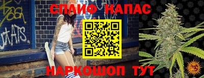 сатива Беслан