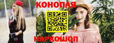 сатива Беслан