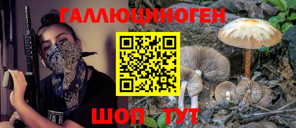 Карпинск  Галлюциногенные грибы Psilocybine cubensis  Вход с VPN 